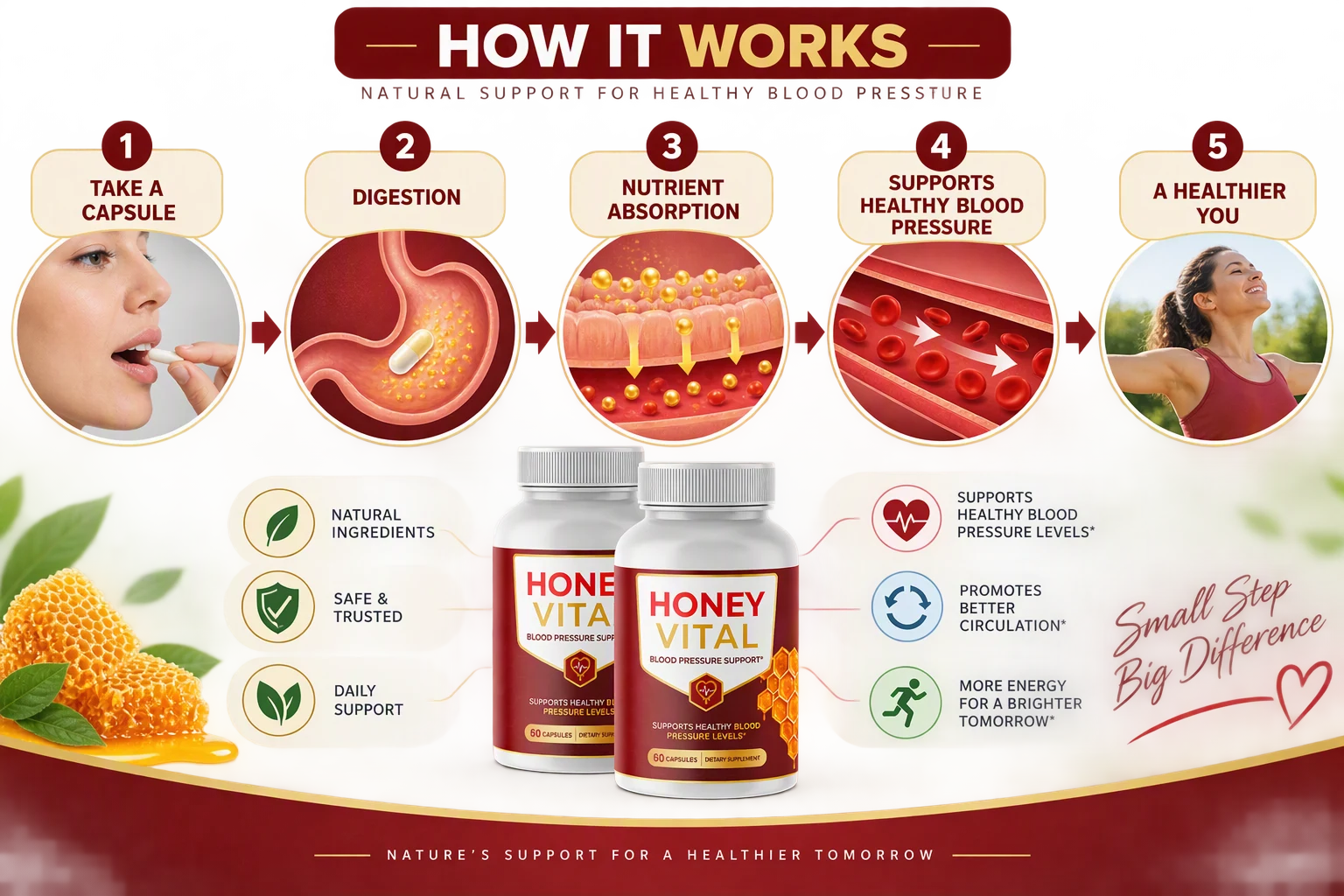 How Honey Vital works — take a capsule, digestion, nutrient absorption, supports healthy blood pressure, a healthier you